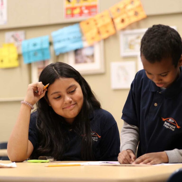 NECP Students Cooperating on a Project